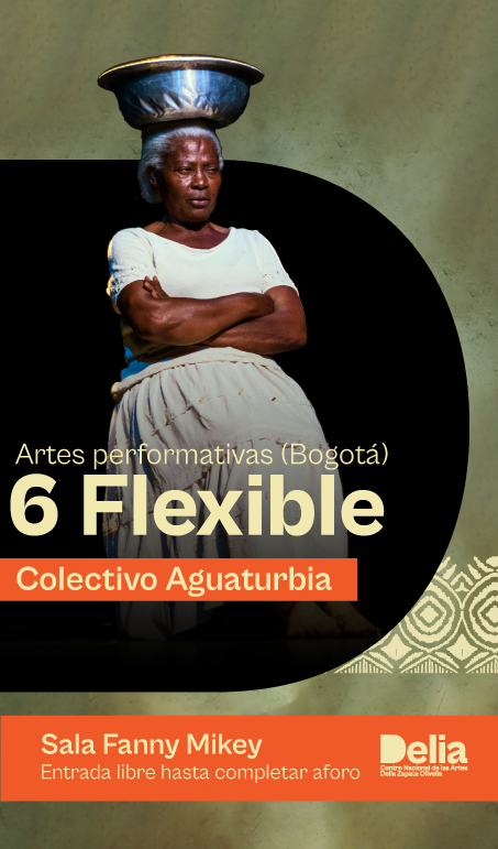 El Colectivo Aguaturbia, dentro de esta línea multidisciplinaria, también traerá la puesta 6 Flexible