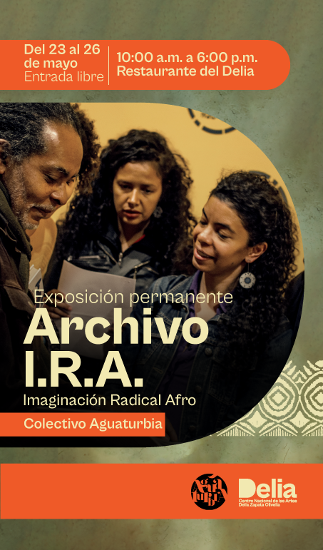 Archivo I.R.A Imaginación Radical Afro​