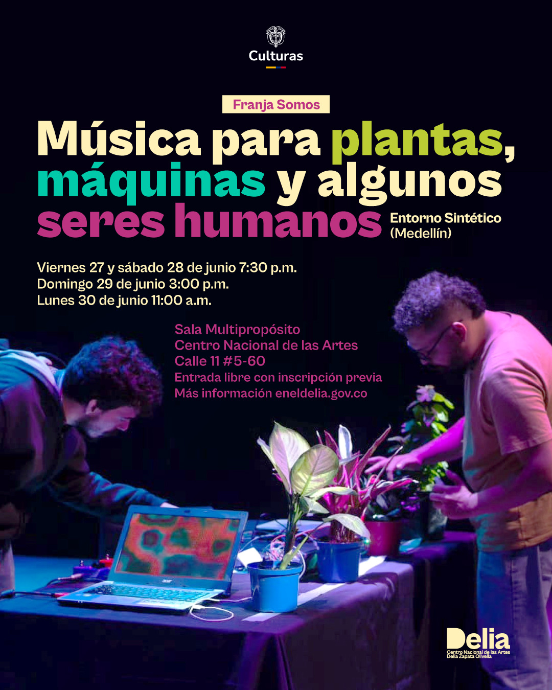 Con Música para plantas, máquinas y algunos seres humanos, Entorno Sintético propone un nuevo ritual de escucha.
