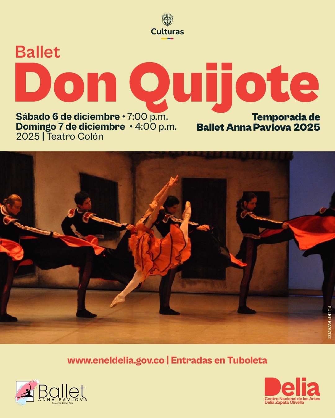 Ballet – Don Quijote
