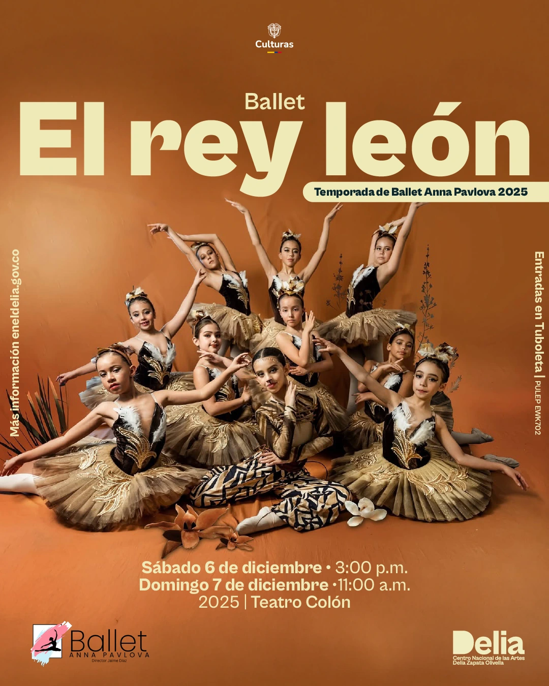 Ballet – El rey león