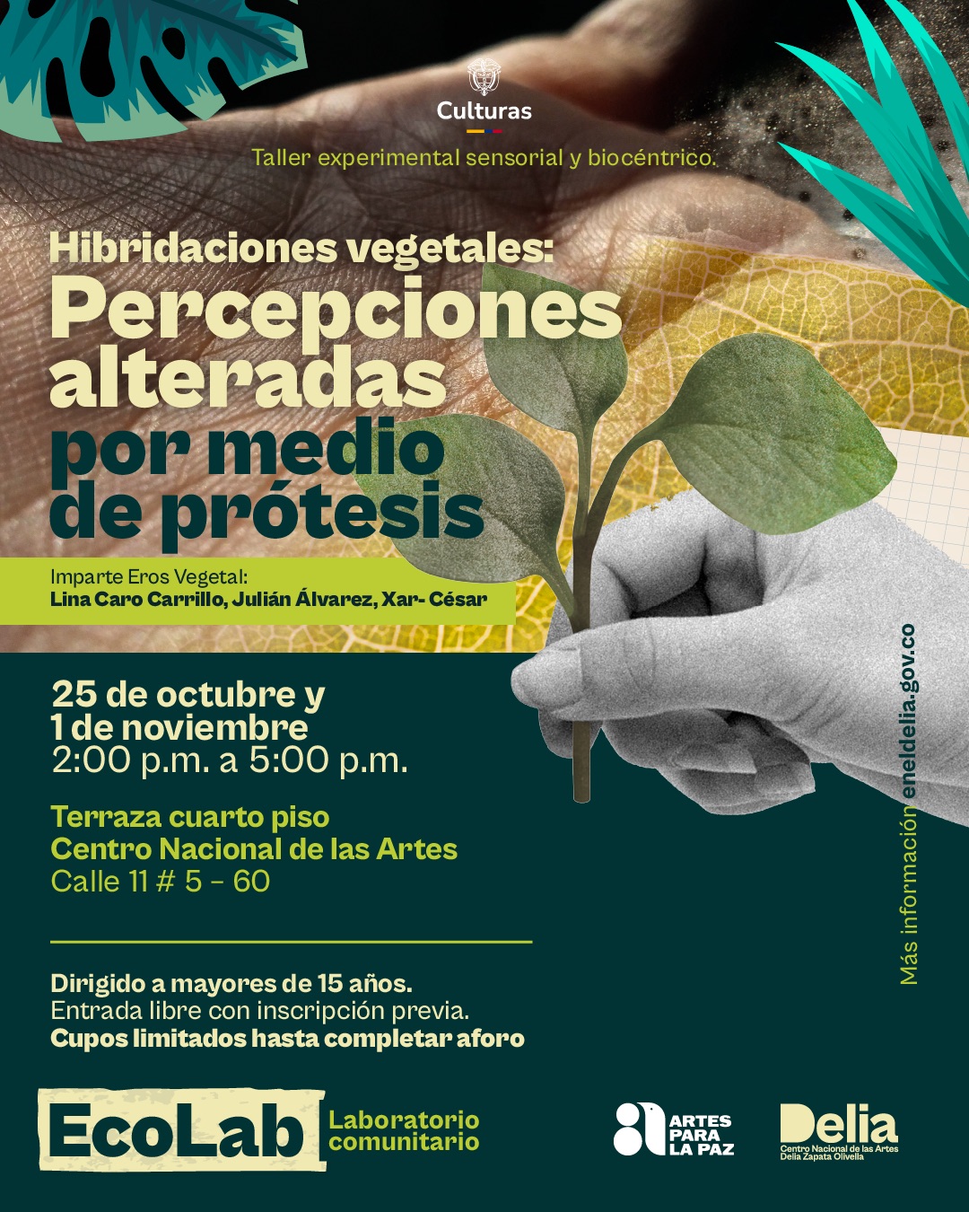 El taller Hibridaciones vegetales: percepciones alteradas por medio de prótesis hace parte del programa de Prácticas y Formación del Centro Nacional de las Artes, en el marco del laboratorio comunitario EcoLab. 