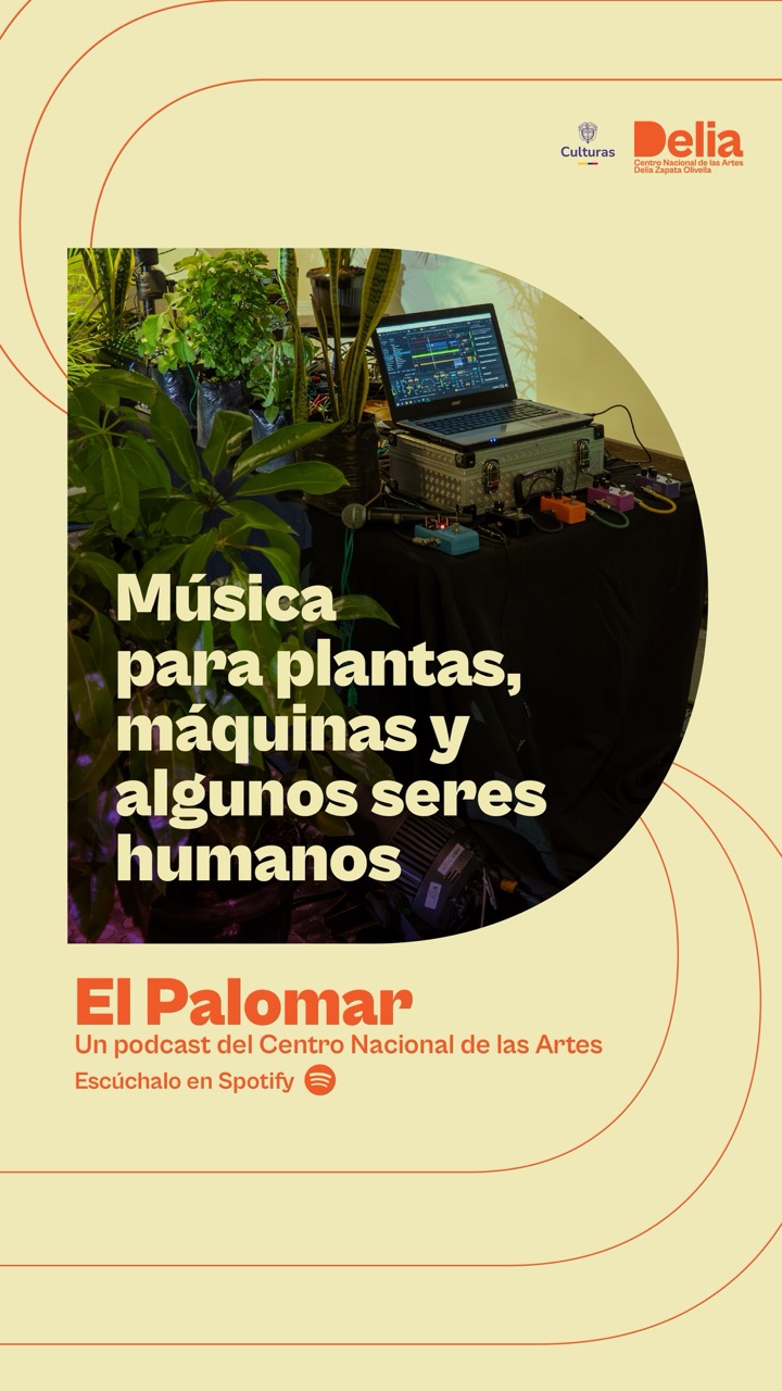 Palomar Música plantas