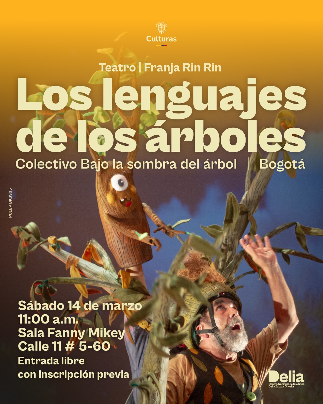 Franja Rin Rin Infantil