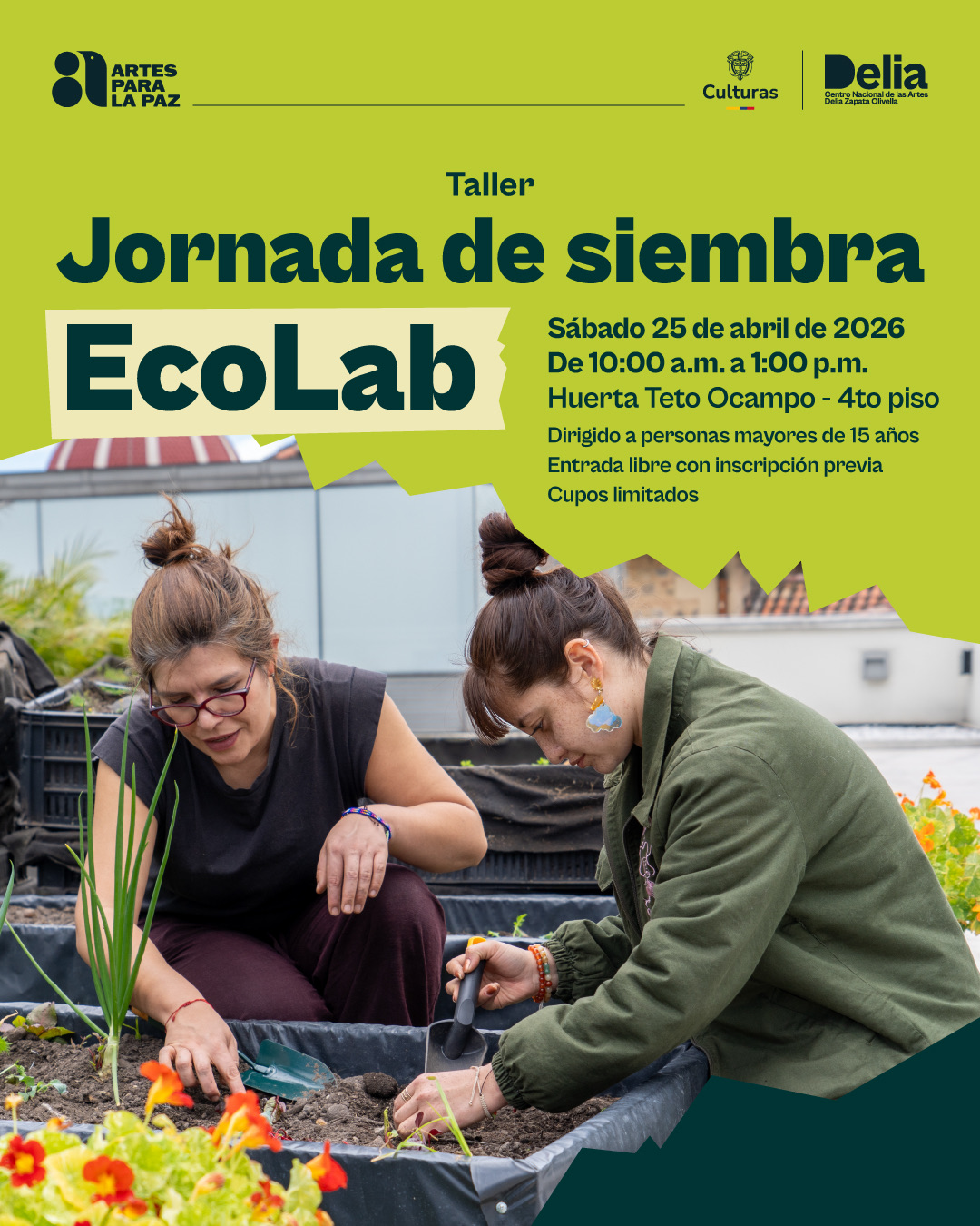 La Jornada de siembra en la huerta Teto Ocampo del CNA, es una invitación a encontrarnos alrededor del cuidado, a volver a la tierra para sostener la vida que también se cultiva en esta Casa Grande. Un espacio para hacer mantenimiento, sembrar nuevas plantas y, sobre todo, darle tiempo, atención y afecto a este territorio vivo que crece con la comunidad.