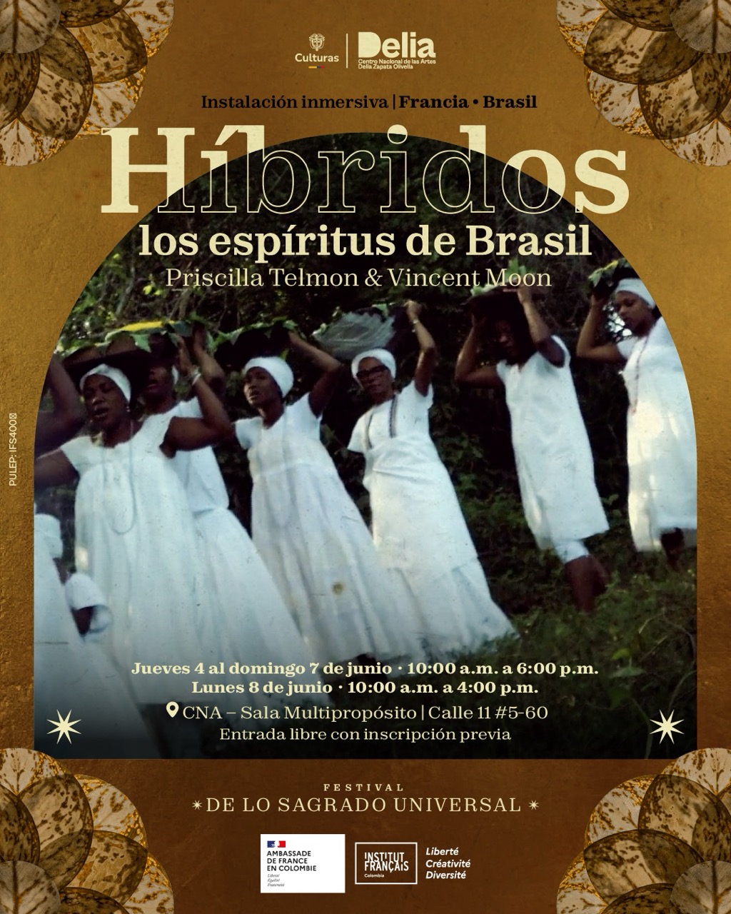 Híbridos, Los Espíritus de Brasil recorre el país de norte a sur, de la selva al océano, explorando los lazos fraternales entre curanderos, chamanes, místicos, devotos e iniciados —desde rituales indígenas hasta cultos afrobrasileños.